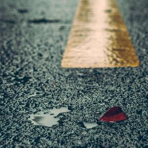 Co亚洲女人的逼逼
